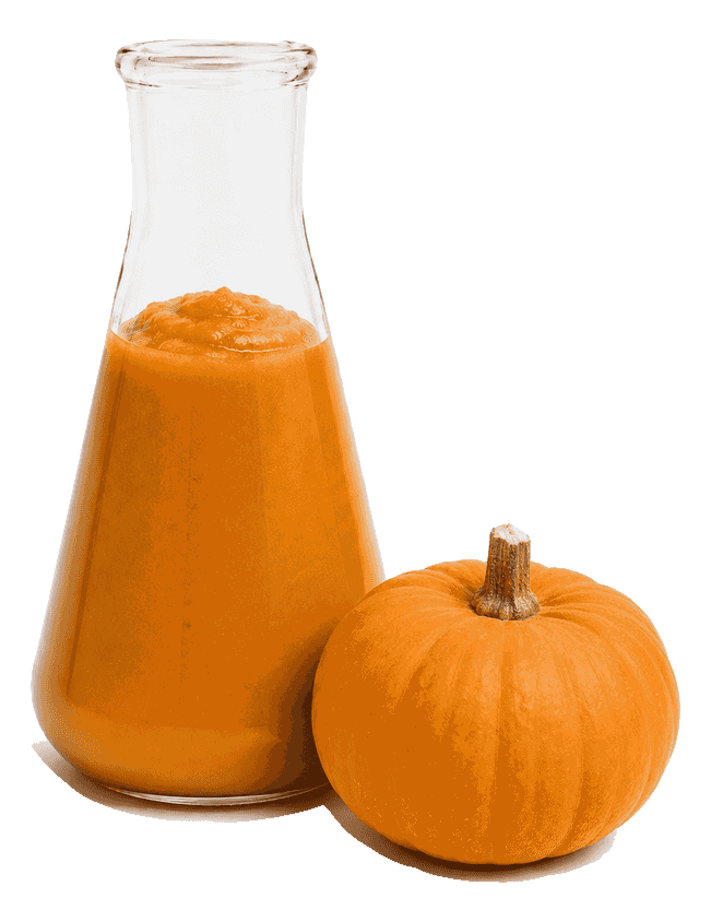 Pumpkin puree product